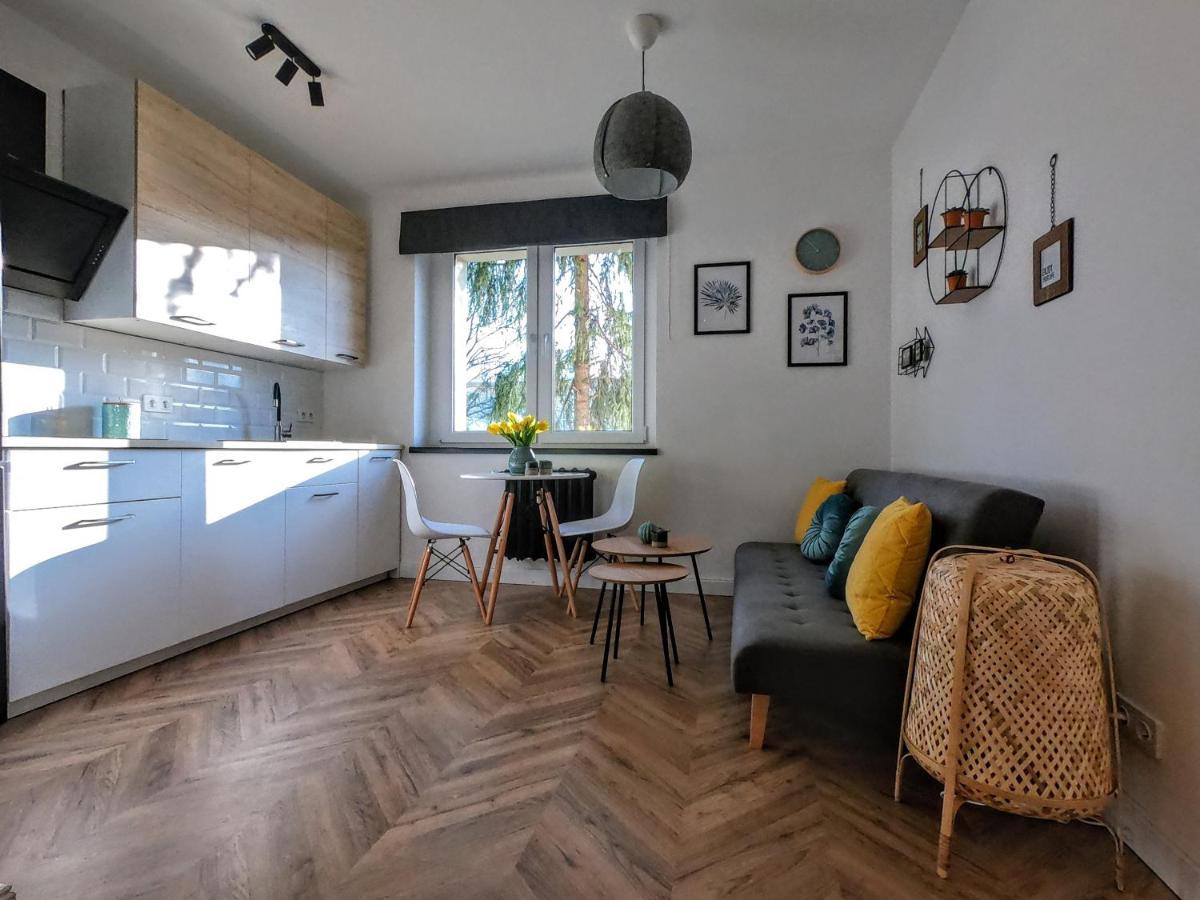 Przytulny Apartament Przy Sokolskiej - 550 Metrow Od Spodka Katowice Exterior foto